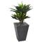 Nearly Natural; 3ft. Double Agave Succulent Plant in Slate Planter; Category:Potted Plants; Image:2